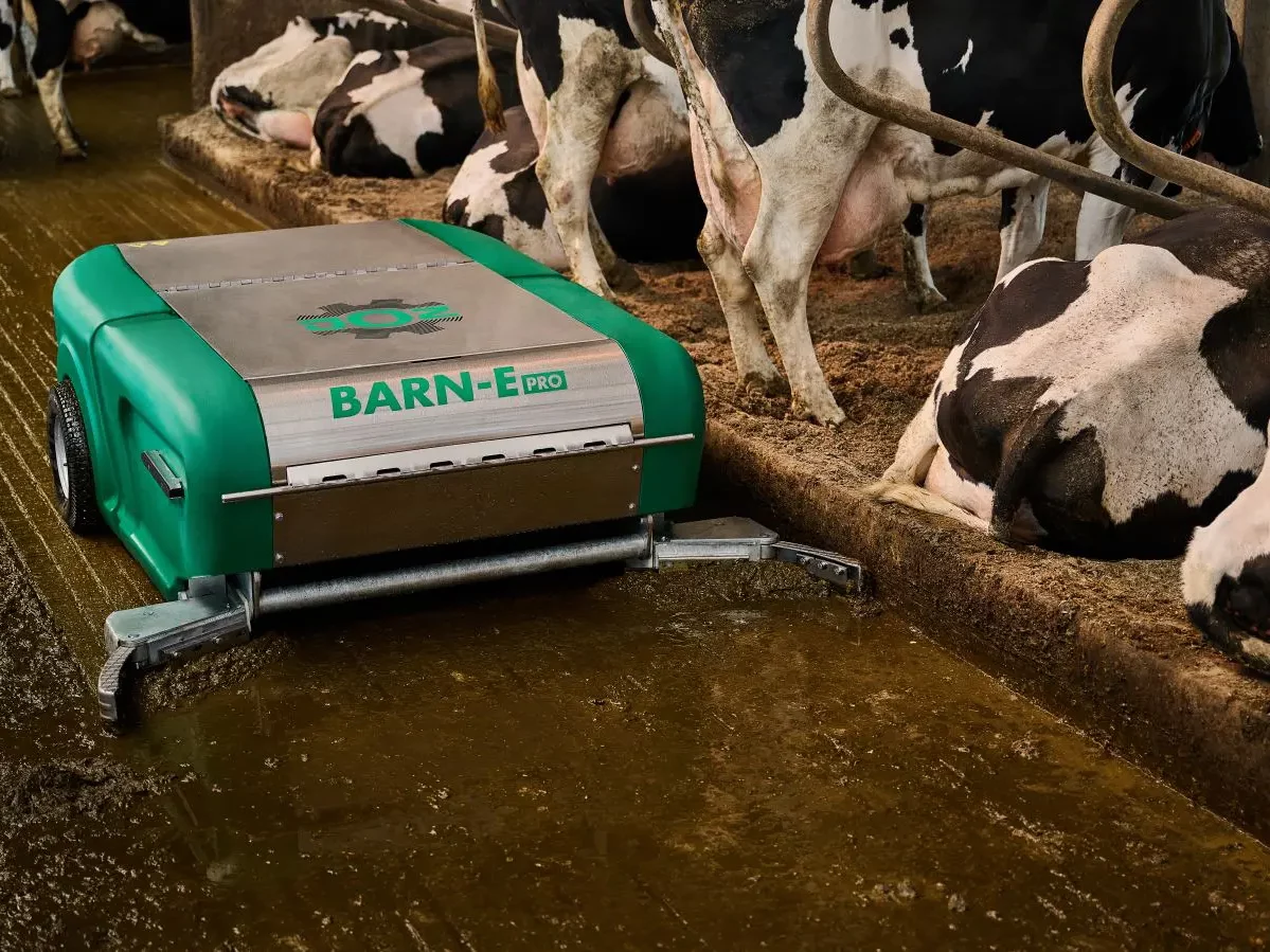 BARN-E Pro Entmistungsroboter beim Einsammeln der Gülle im Stall