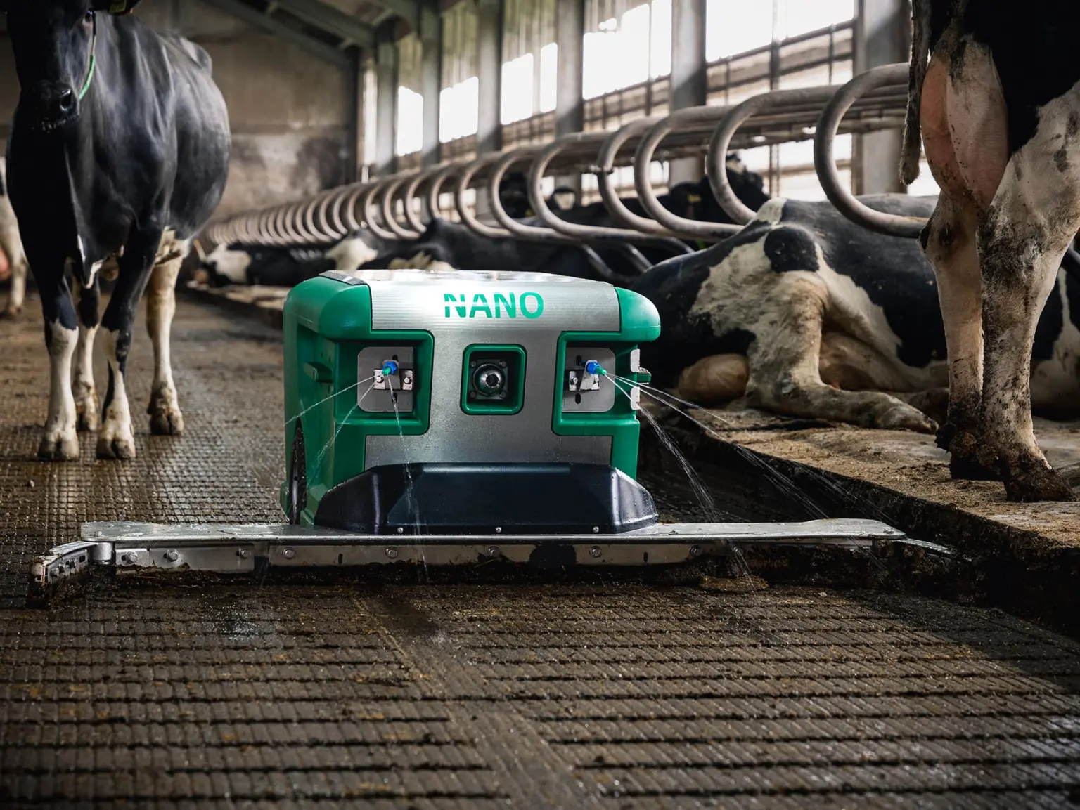 Nano Entmistungsroboter bei der Reinigung des Spaltenbodens im Stall